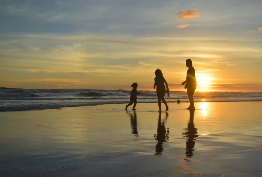 family law solicitor in free consultation